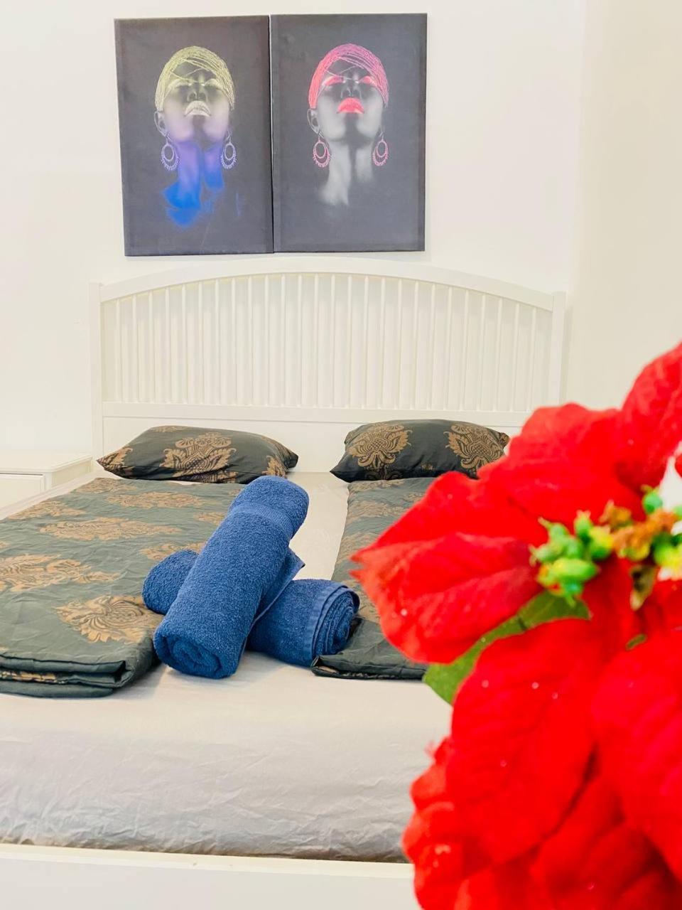 Appartamento Cozy Studio Lg Vienna Esterno foto